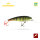 Charly / 3 Meter