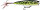 SKITTER POP ELITE SPE75 GDLF
