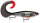 X-RAP OTUS XROU17 ROL