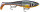 X-RAP PETO XRPT14 HLW