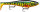 X-RAP PETO XRPT14 HTIP