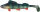 Clone Shad Barsch 6,5cm