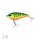 Rogue Glider 12 cm | 1,5 m S Firetiger