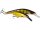 PLATYPUS CRANKBAIT 16CM 56G LOW FLOATING PARROT SPECIAL 6 1/4" 2OZ