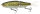 Gamakatsu LUXXE LAUGHIN 170 MAT BASS