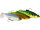 RICKY THE ROACH SHADTAIL R N R 14CM 57G SINKING FIRETIGER RUDD 1PC