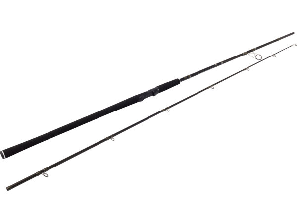 W2 POWERCAST 83"/248CM XH 20-80G 2SEC