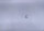 Worm Drop Shot, Gr. 4