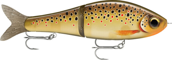 SUPER SHADOW RAP GLIDE 16 TRL